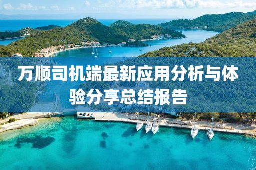 万顺司机端最新应用分析与体验分享总结报告