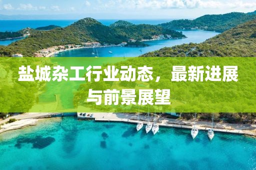 盐城杂工行业动态，最新进展与前景展望