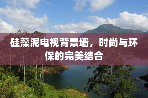 硅藻泥电视背景墙，时尚与环保的完美结合