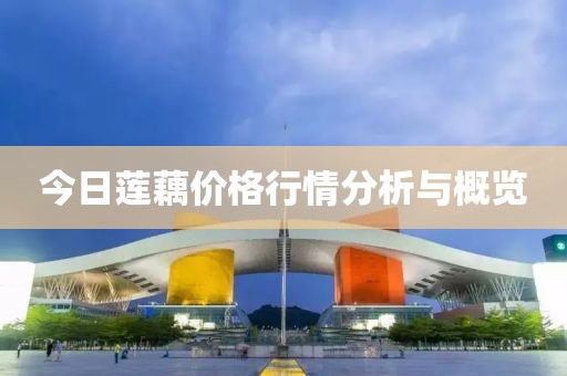 今日莲藕价格行情分析与概览