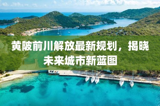 黄陂前川解放最新规划，揭晓未来城市新蓝图