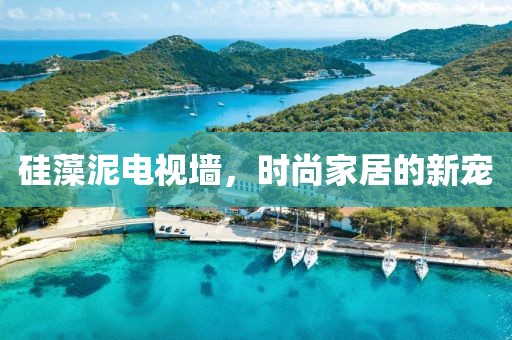 硅藻泥电视墙，时尚家居的新宠