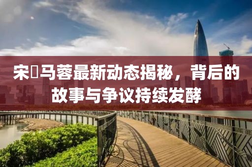 宋喆马蓉最新动态揭秘，背后的故事与争议持续发酵