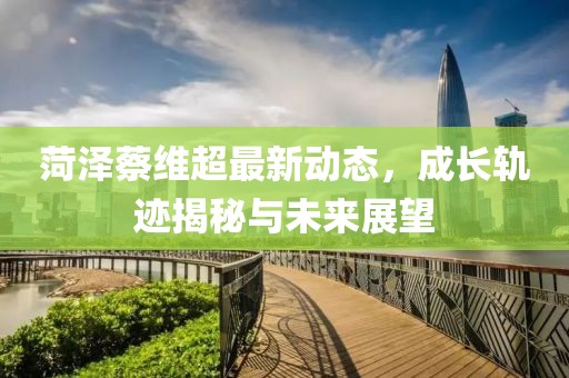 菏泽蔡维超最新动态，成长轨迹揭秘与未来展望