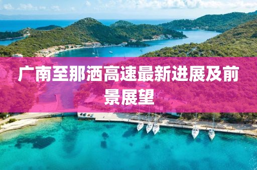 广南至那洒高速最新进展及前景展望