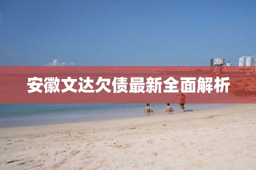 安徽文达欠债最新全面解析