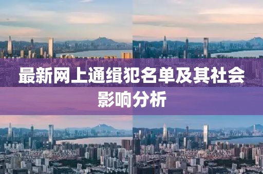 最新网上通缉犯名单及其社会影响分析