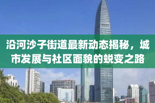夏沁 第10页