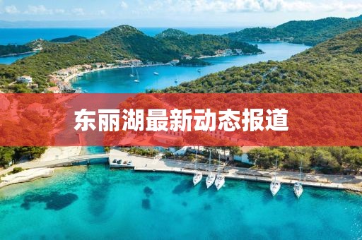 东丽湖最新动态报道