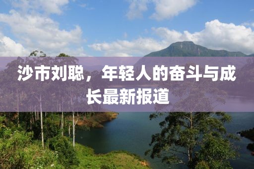 沙市刘聪，年轻人的奋斗与成长最新报道