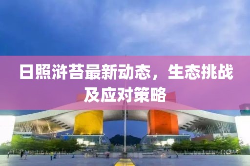 日照浒苔最新动态，生态挑战及应对策略