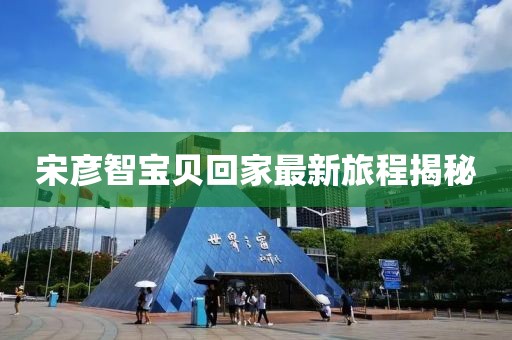 夏海 第9页