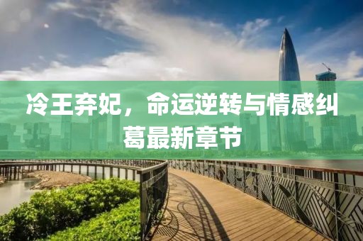 冷王弃妃，命运逆转与情感纠葛最新章节