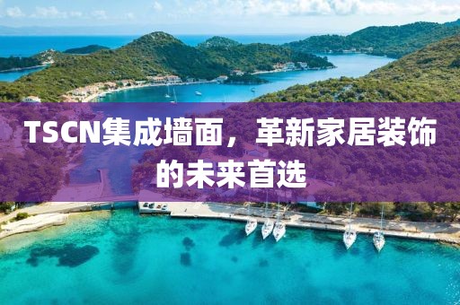 TSCN集成墙面，革新家居装饰的未来首选
