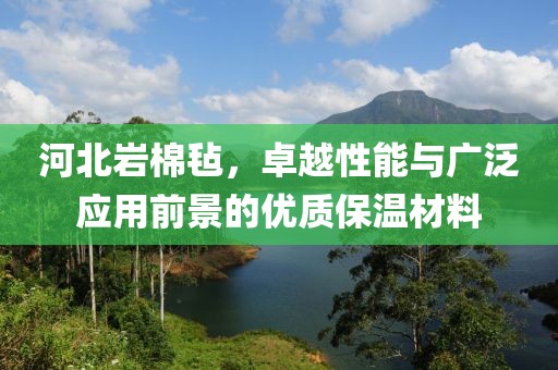 河北岩棉毡，卓越性能与广泛应用前景的优质保温材料