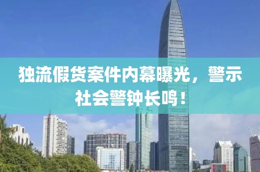 独流假货案件内幕曝光，警示社会警钟长鸣！