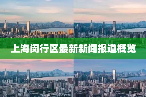 上海闵行区最新新闻报道概览