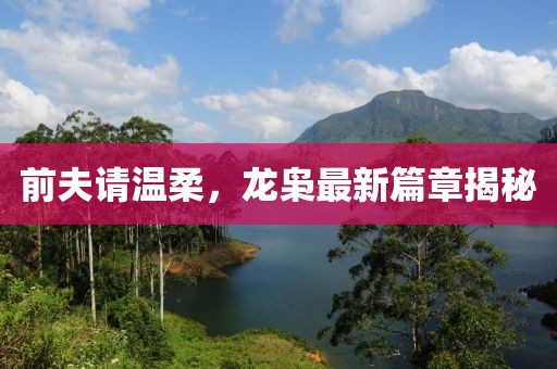 前夫请温柔，龙枭最新篇章揭秘