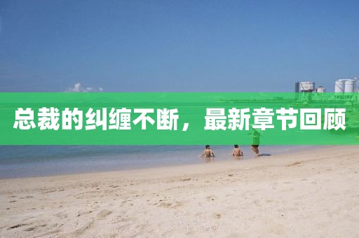 总裁的纠缠不断，最新章节回顾