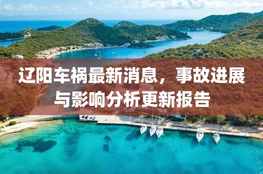 辽阳车祸最新消息，事故进展与影响分析更新报告