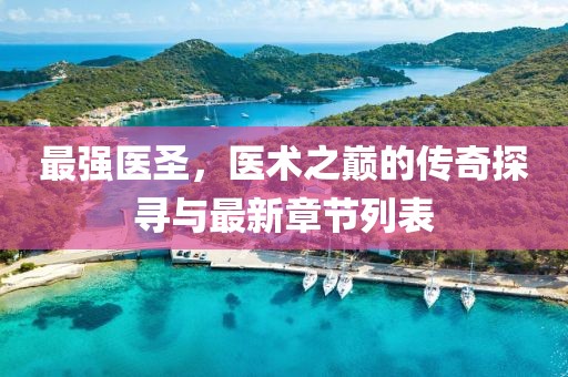 最强医圣，医术之巅的传奇探寻与最新章节列表