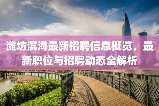 潍坊滨海最新招聘信息概览，最新职位与招聘动态全解析