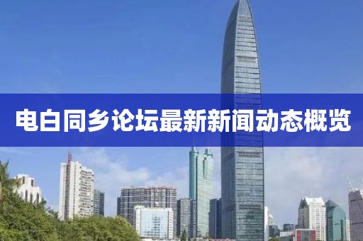 电白同乡论坛最新新闻动态概览