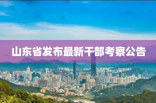 山东省发布最新干部考察公告