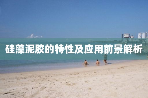 硅藻泥胶的特性及应用前景解析