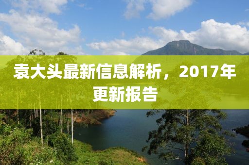 袁大头最新信息解析，2017年更新报告