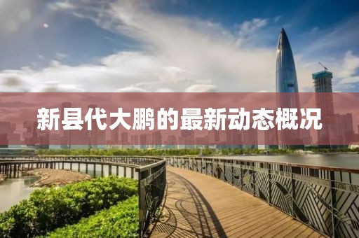 新县代大鹏的最新动态概况