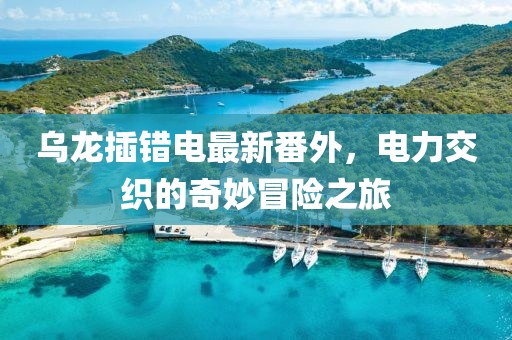 乌龙插错电最新番外，电力交织的奇妙冒险之旅