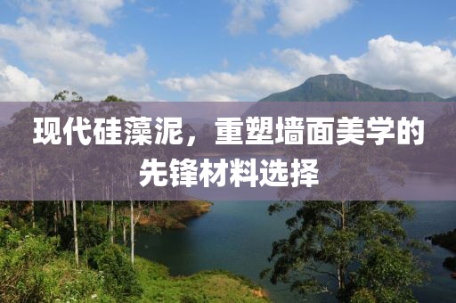 现代硅藻泥，重塑墙面美学的先锋材料选择