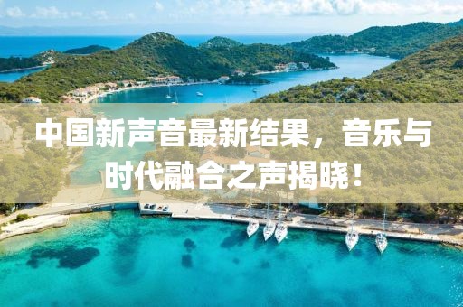 中国新声音最新结果，音乐与时代融合之声揭晓！
