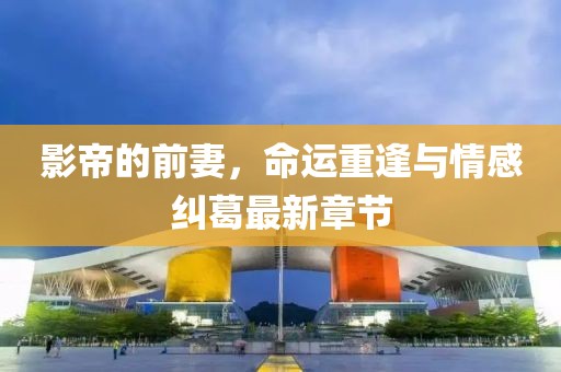 影帝的前妻，命运重逢与情感纠葛最新章节