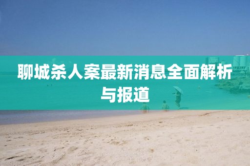 聊城杀人案最新消息全面解析与报道
