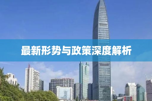 最新形势与政策深度解析