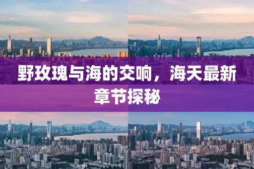 野玫瑰与海的交响，海天最新章节探秘