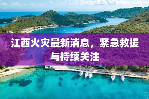 江西火灾最新消息，紧急救援与持续关注