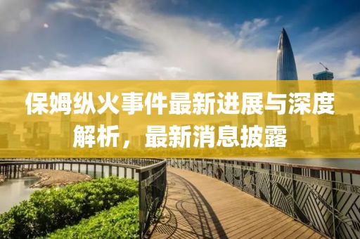 保姆纵火事件最新进展与深度解析，最新消息披露