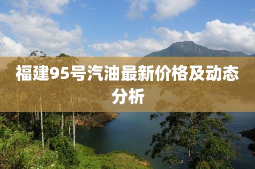福建95号汽油最新价格及动态分析