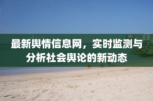 最新舆情信息网，实时监测与分析社会舆论的新动态