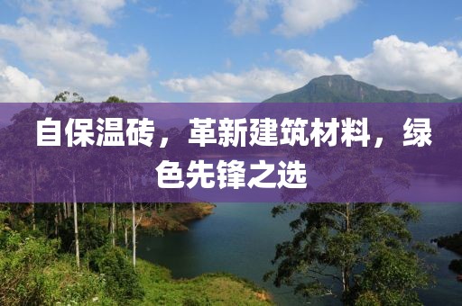自保温砖，革新建筑材料，绿色先锋之选