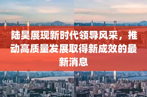 陆昊展现新时代领导风采，推动高质量发展取得新成效的最新消息