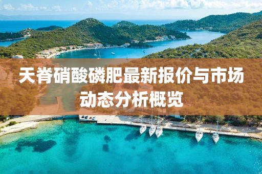 天脊硝酸磷肥最新报价与市场动态分析概览