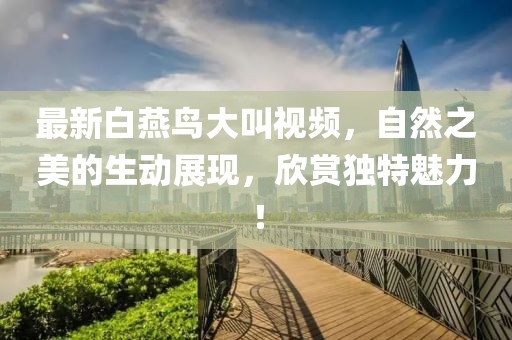 最新白燕鸟大叫视频，自然之美的生动展现，欣赏独特魅力！