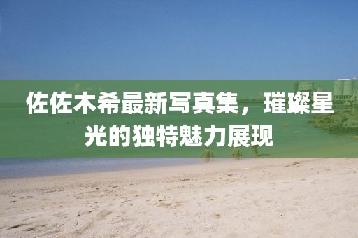 佐佐木希最新写真集，璀璨星光的独特魅力展现