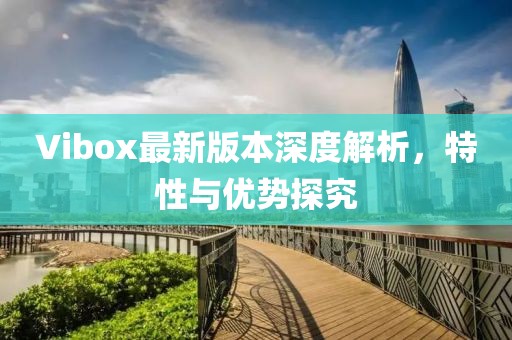 Vibox最新版本深度解析，特性与优势探究