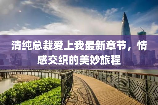 清纯总裁爱上我最新章节，情感交织的美妙旅程