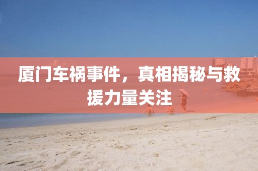 厦门车祸事件，真相揭秘与救援力量关注